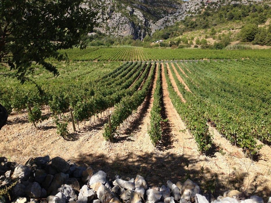 Domainedel'Edre