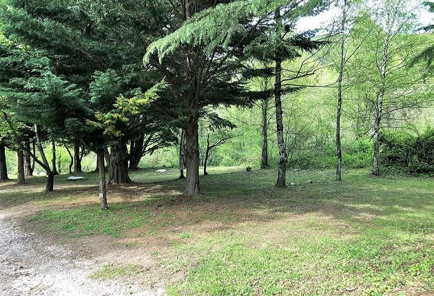 Emplacement Camping del bosc 2 bis
