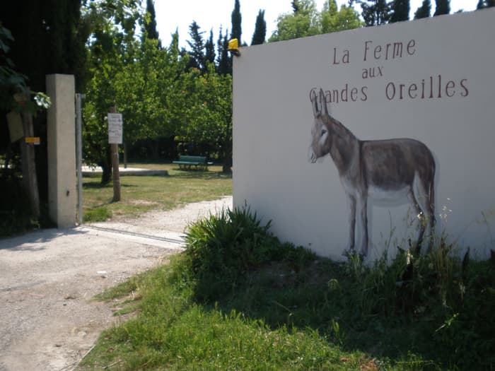 TORREILLES LOI FERME AUX GRANDES OREILLES