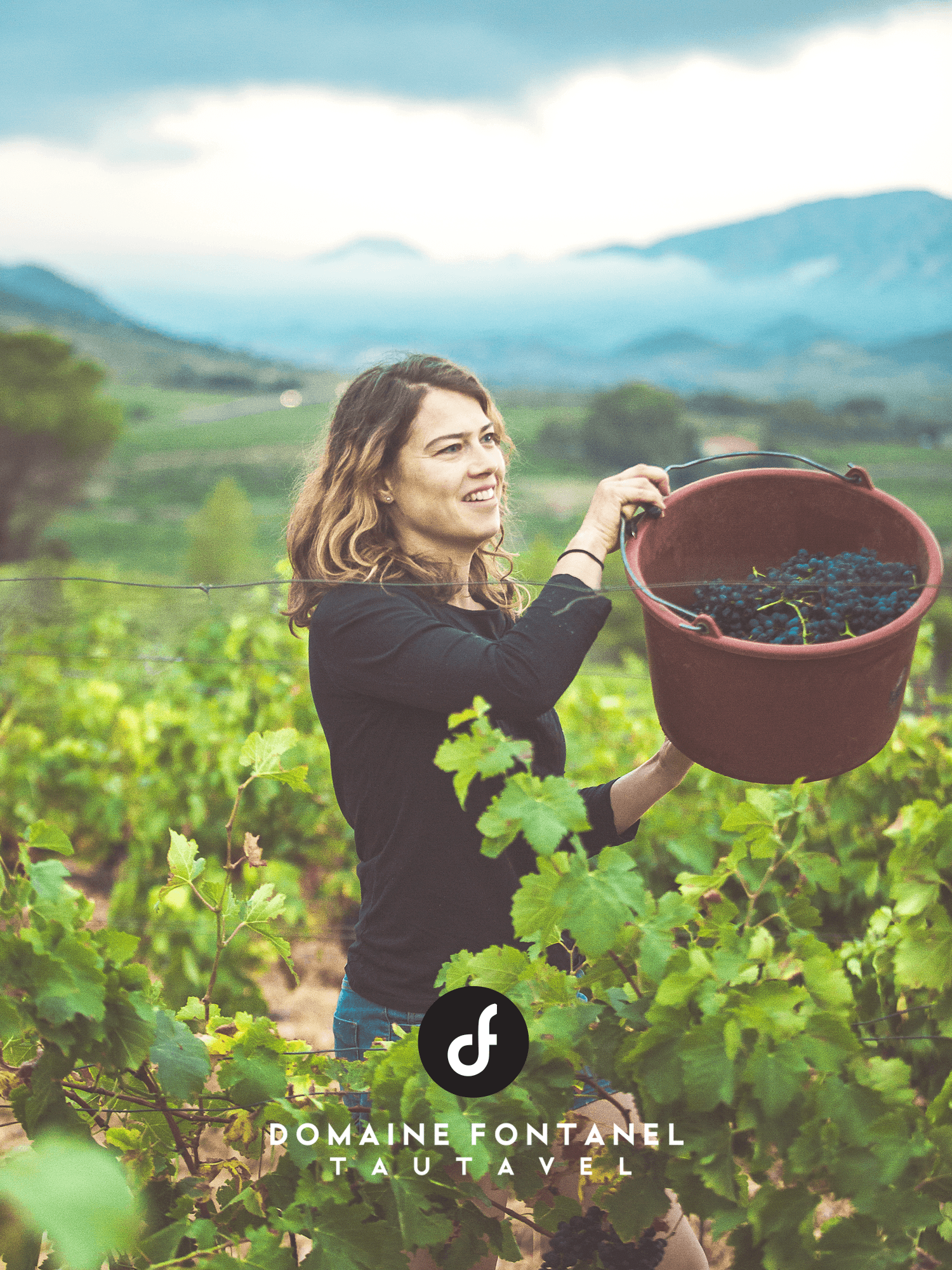Fontanel_Vendanges