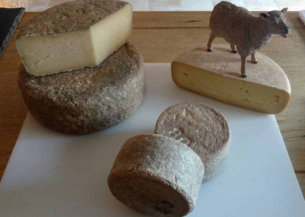 Fromagerie Cal Rous1
