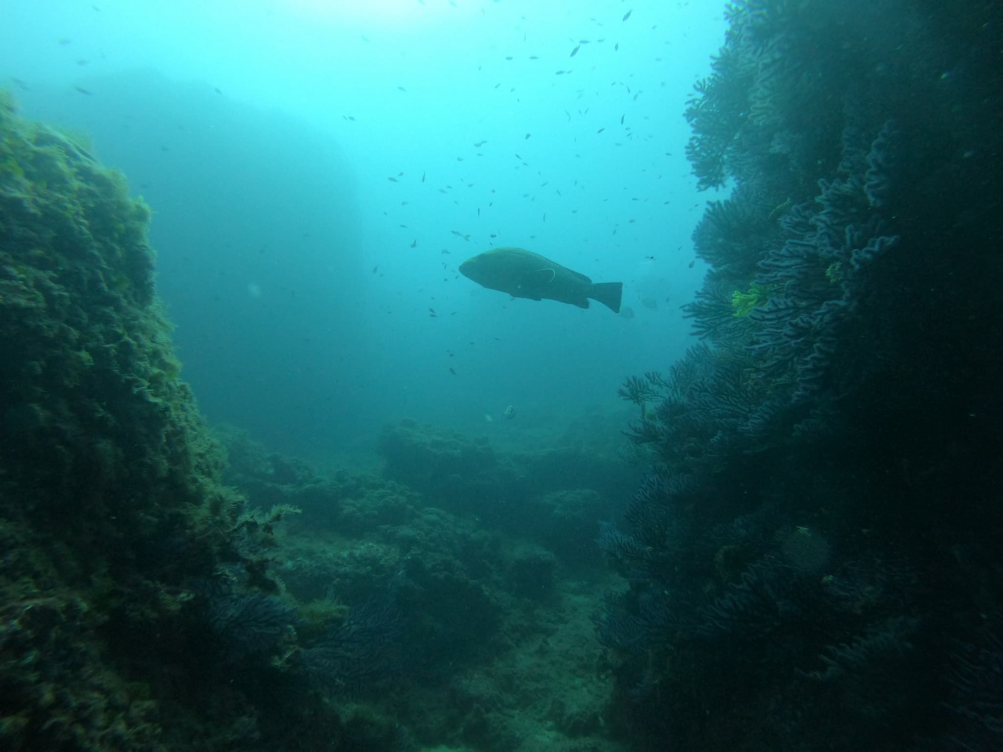 GOPR1182