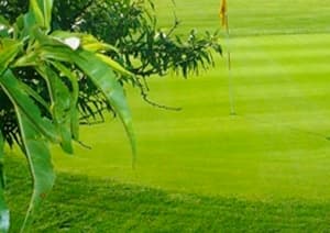 Golf Club de Montescot
