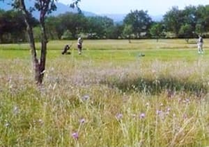 Golf Club de Montescot