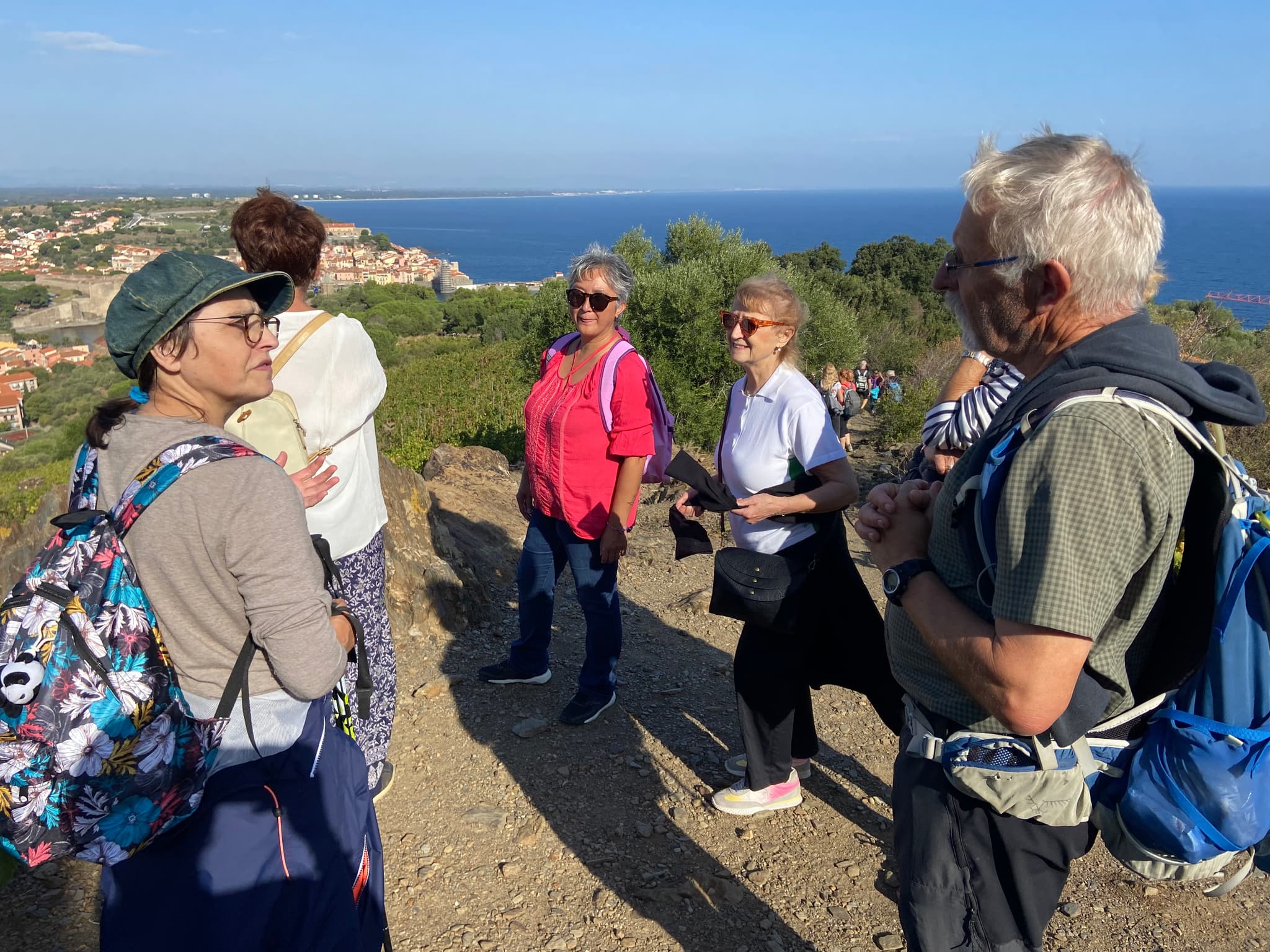 Vinohrando-collioure