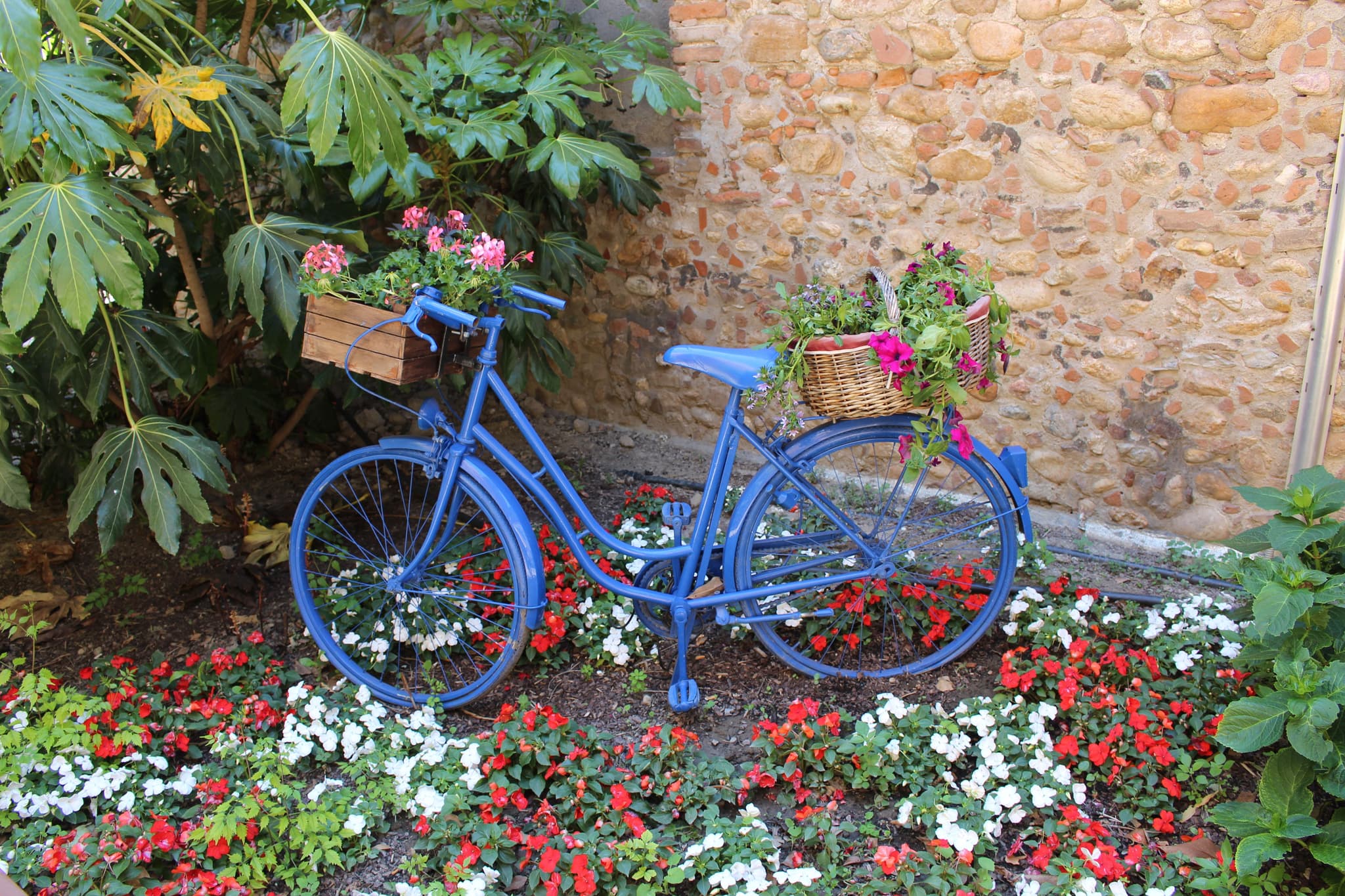 visite guidée vélo