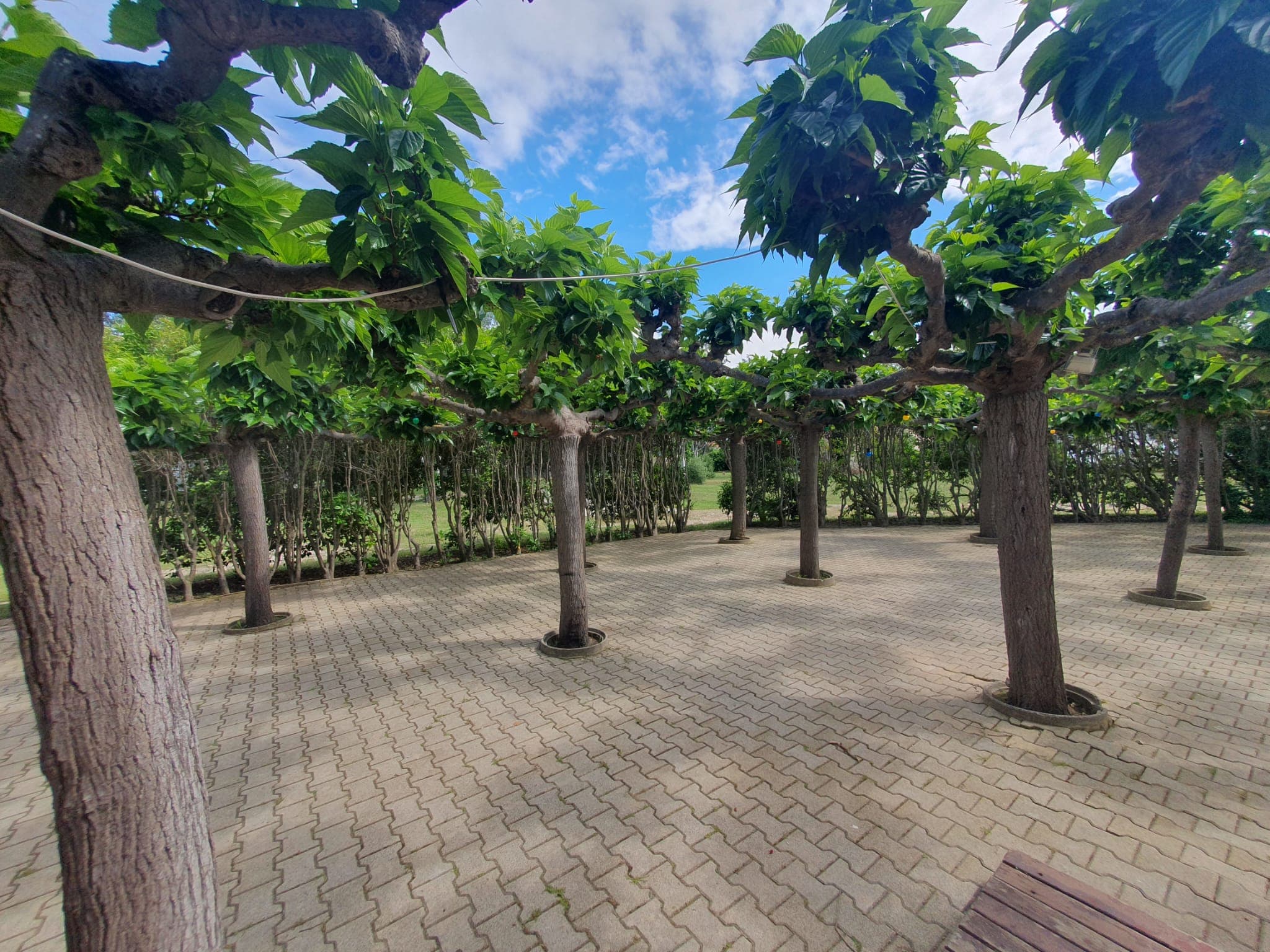 Terrasse Dortoir