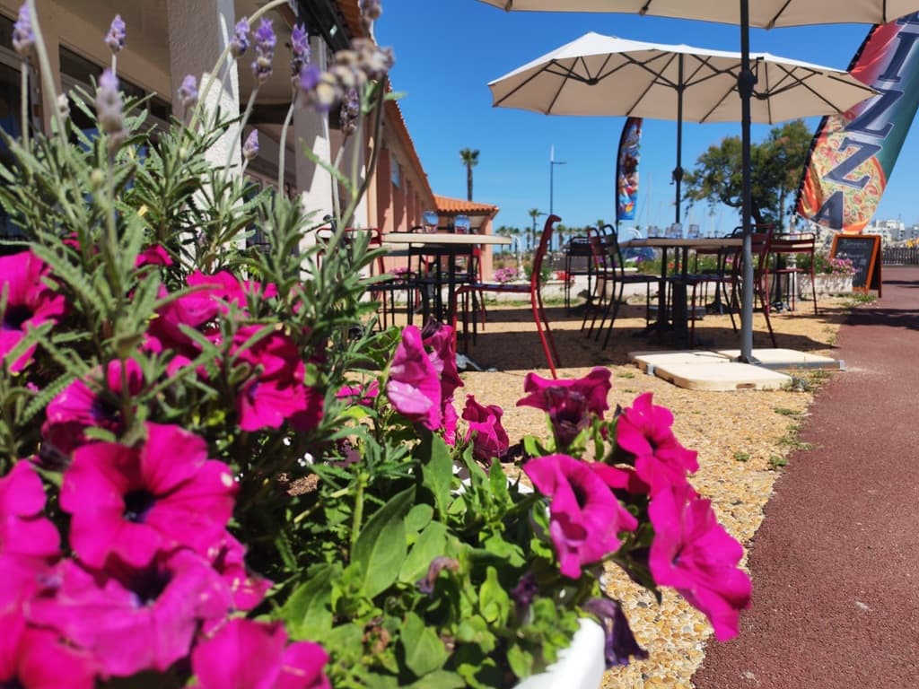 PORT BARCARES PIZERRIA DU SOLEIL