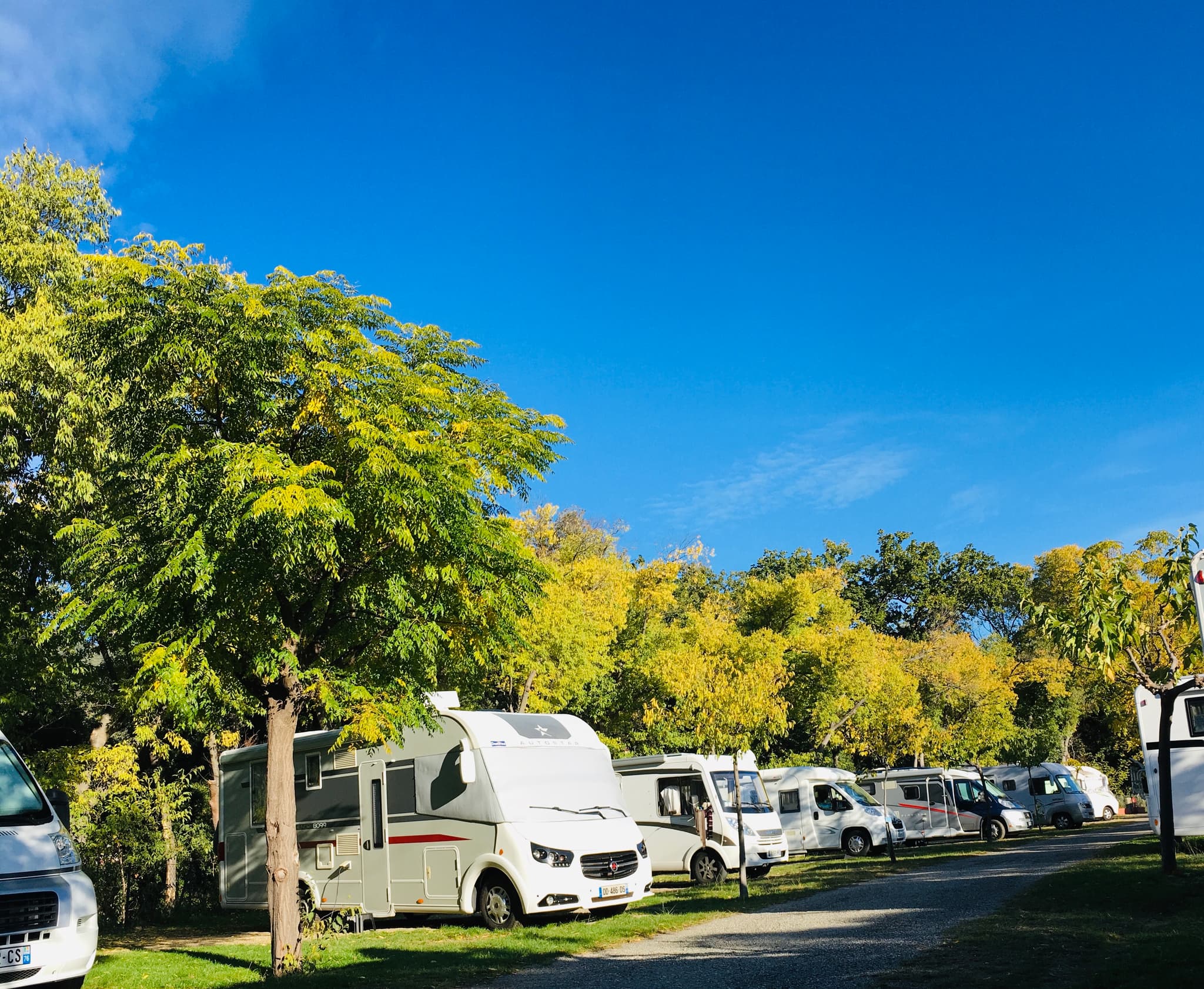 Amelia Camping