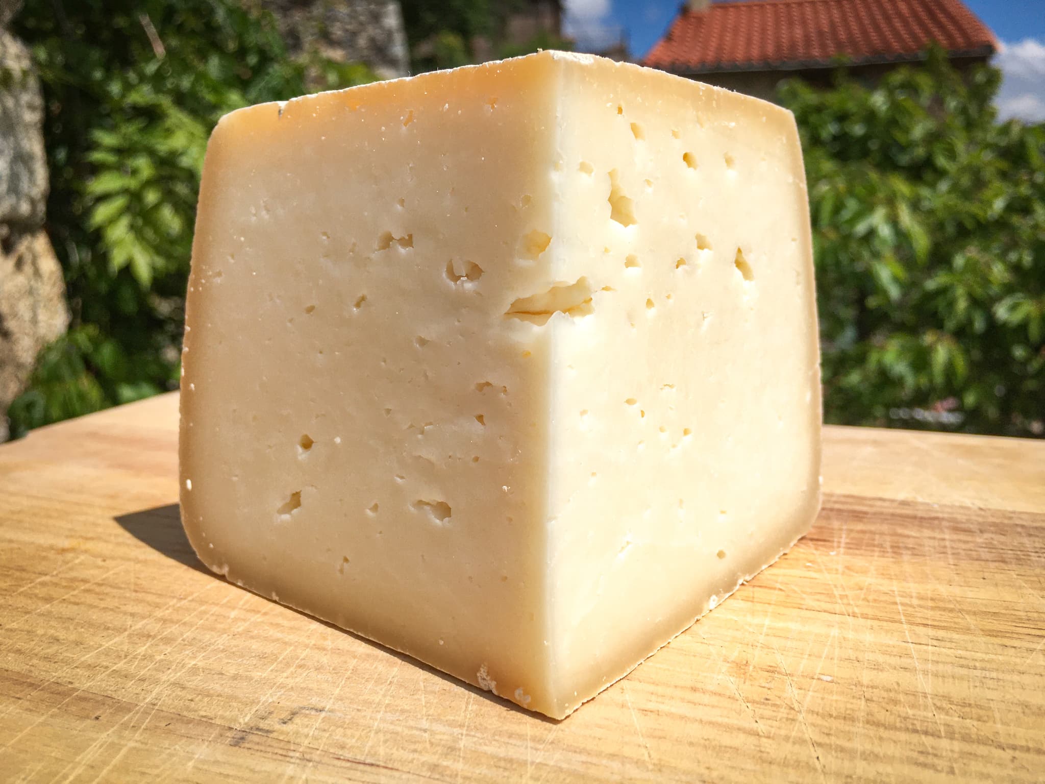 Tome au lait cru de Brebis