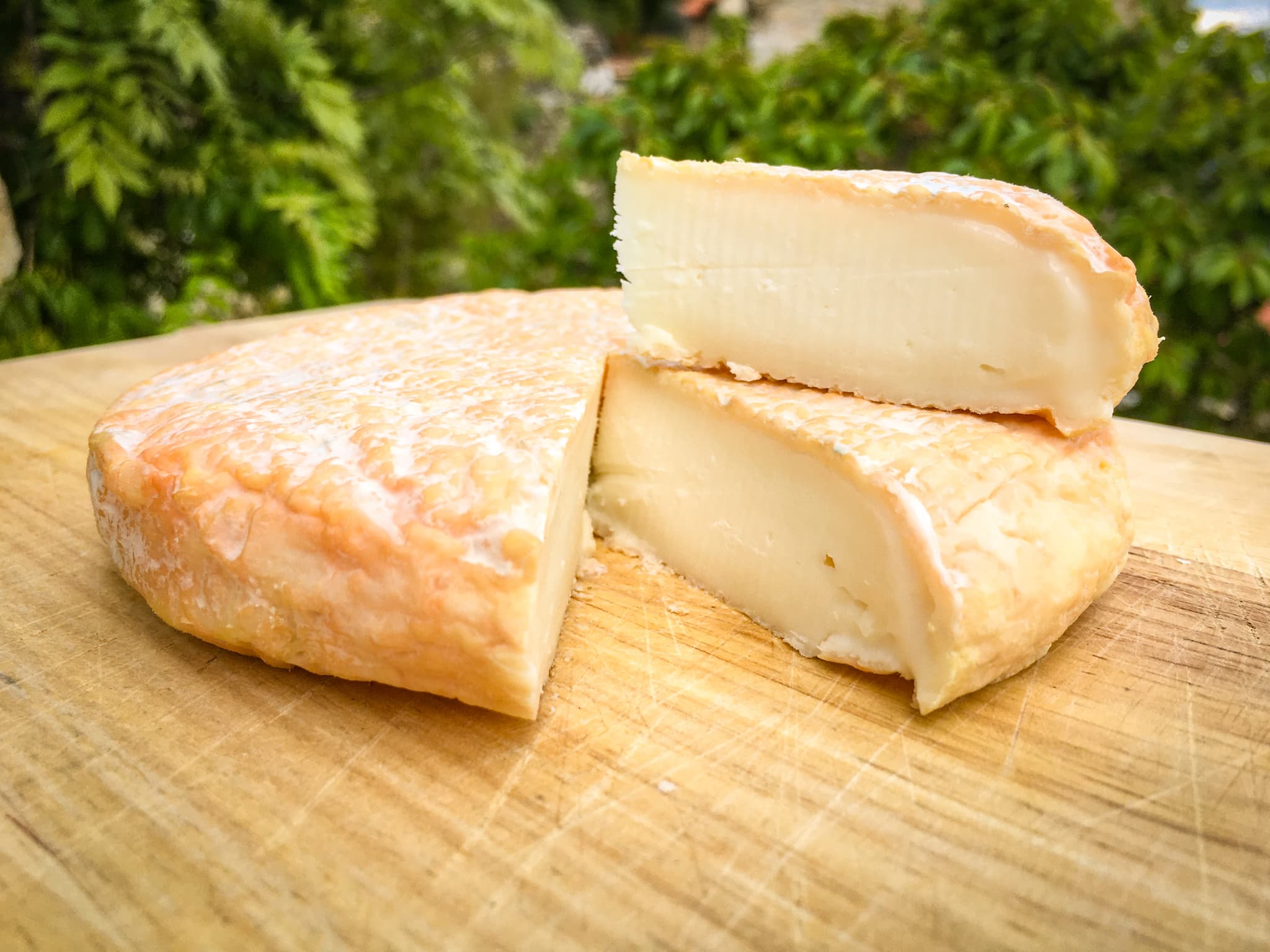 Pâte molle