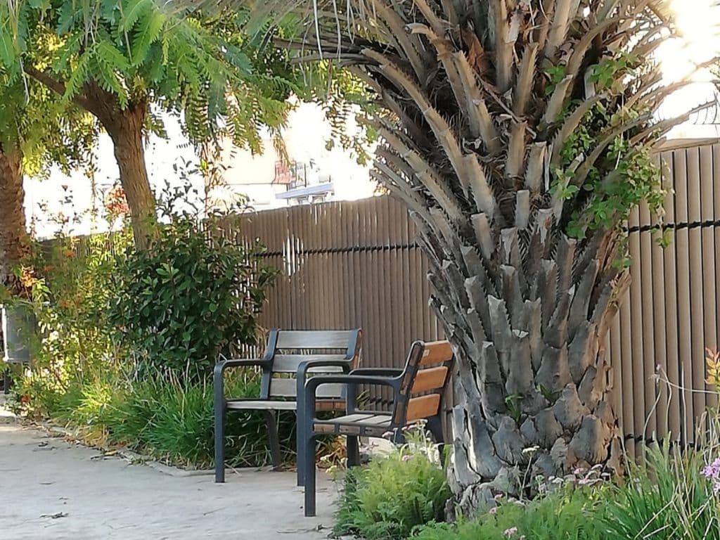 Jardin Muchard 4