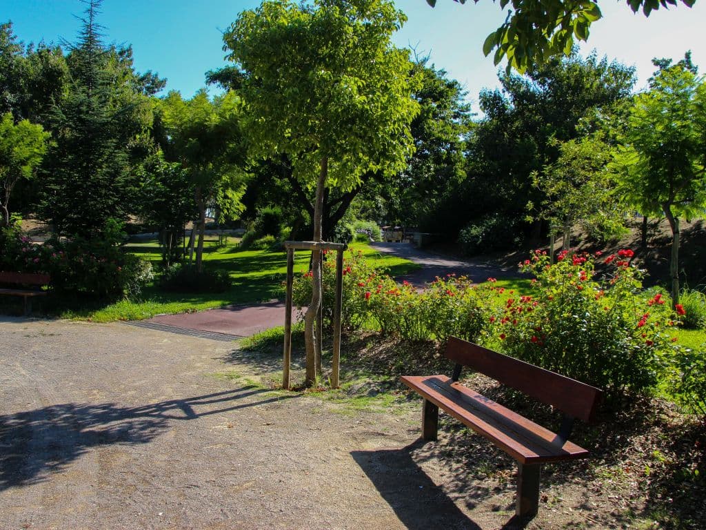Jardin de la Pépinière 1