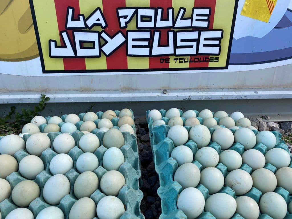 LA POULE JOYEUSE