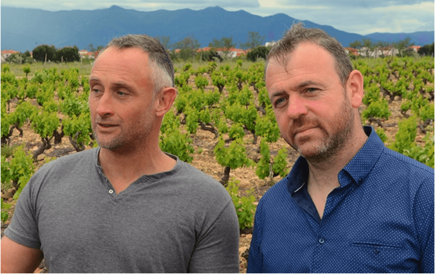 Le Clos d'Elpis