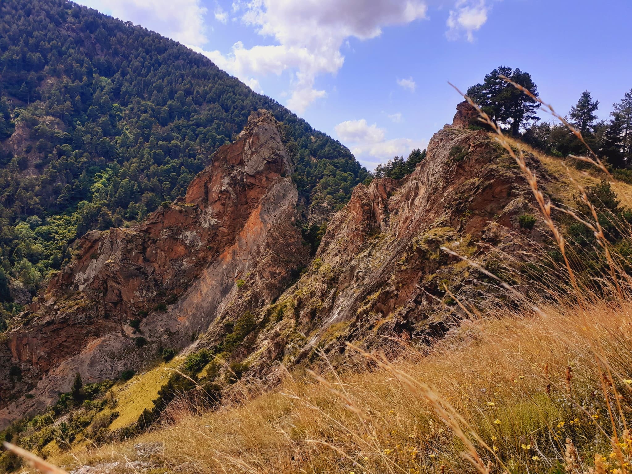 Les gorges du Sègre