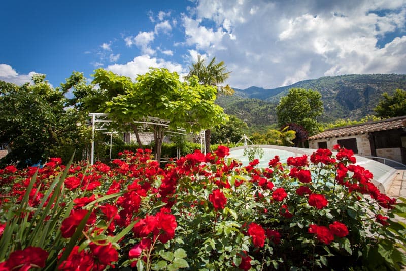 Les jardins d'Aymeric-Clara_1