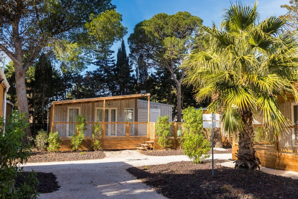 CAMPING L'OASIS & CALIFORNIA