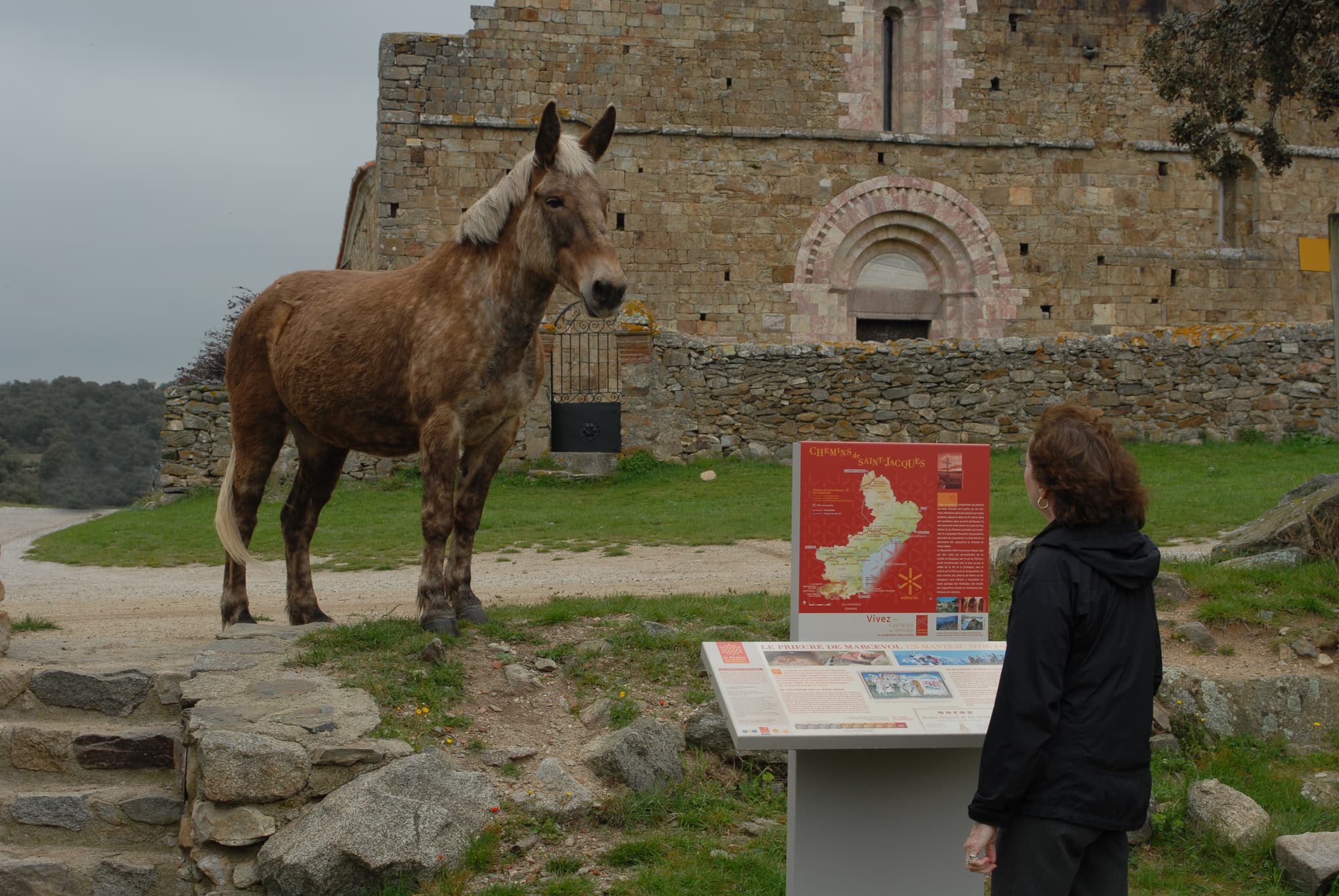 Marcevol et cheval