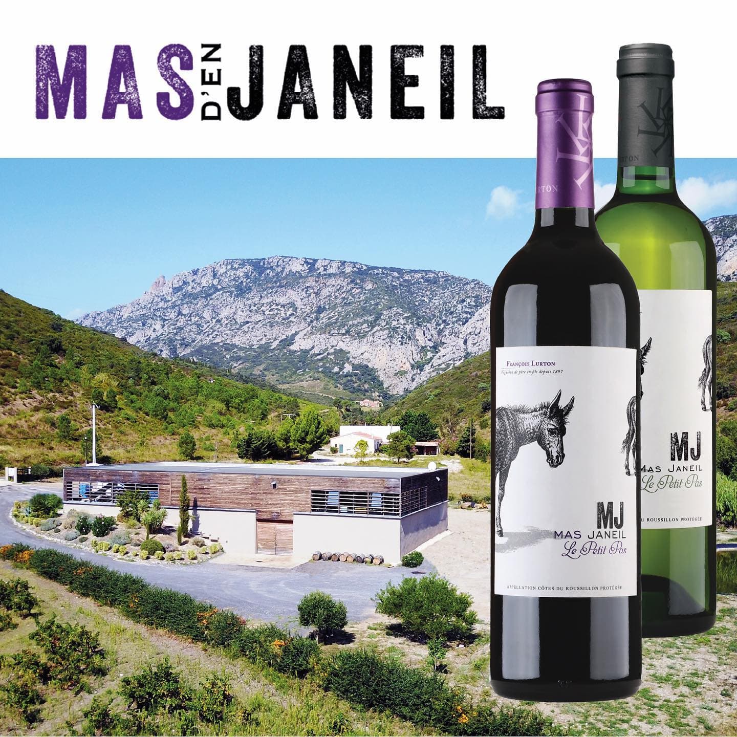 Mas Janeil 1