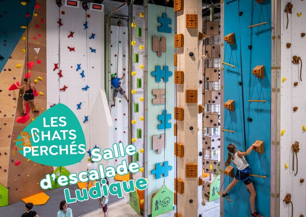Mega Castillet 5