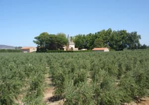 Moulin St Pierre Millas