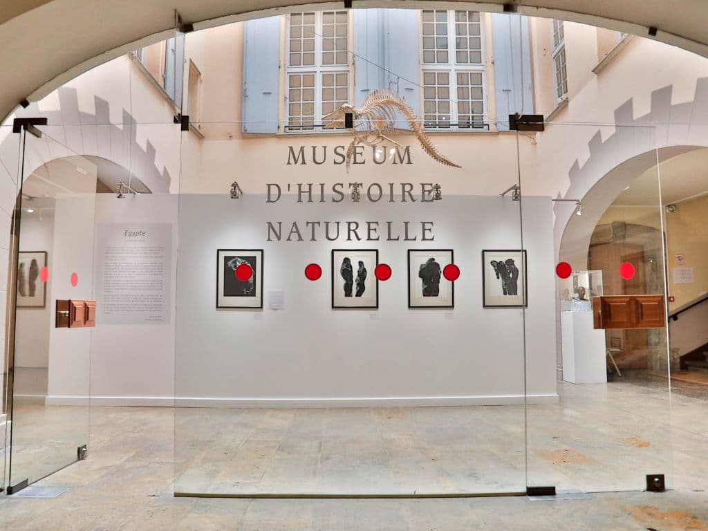 Museum d'Histoire Naturelle 1