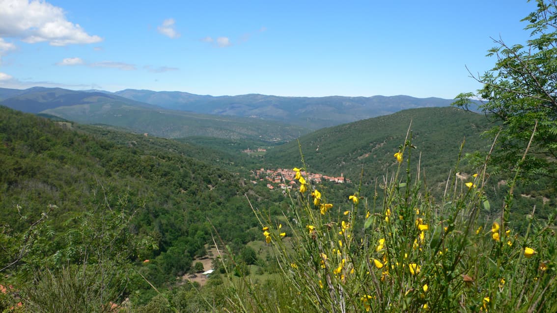 P1050516