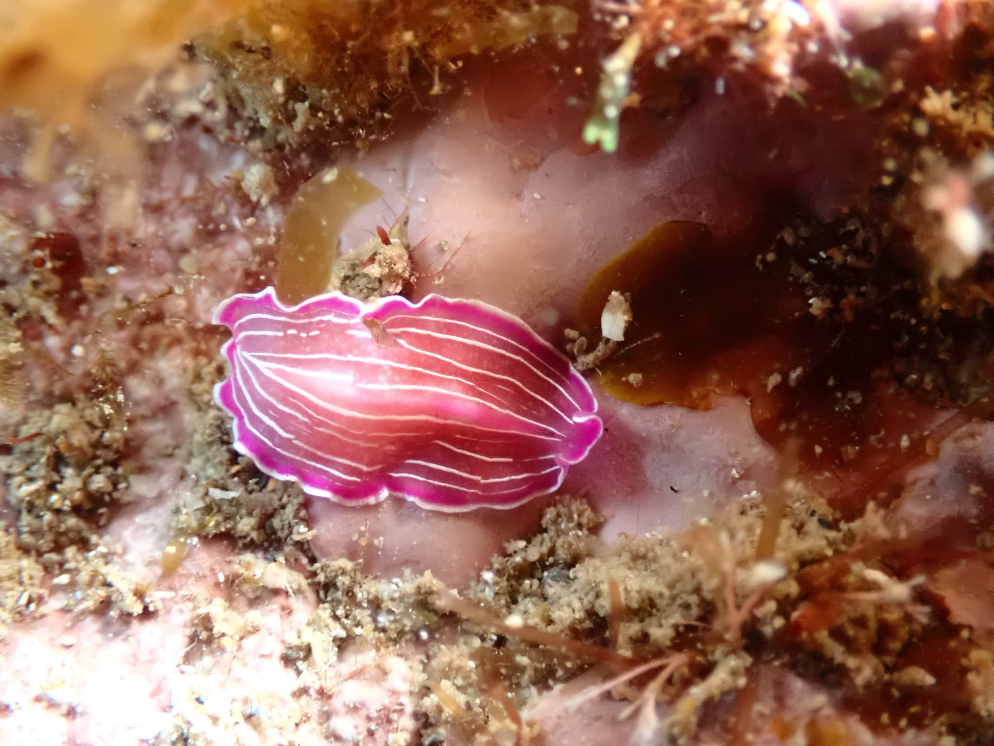 P6160046