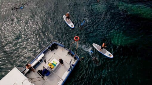 Paddle-palmée-CIP-Collioure-2