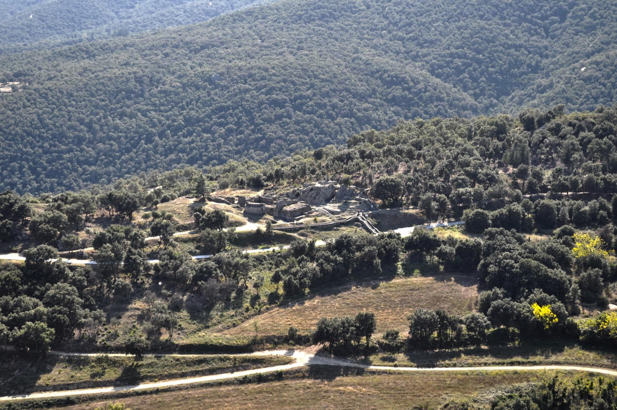 Panissars OTI