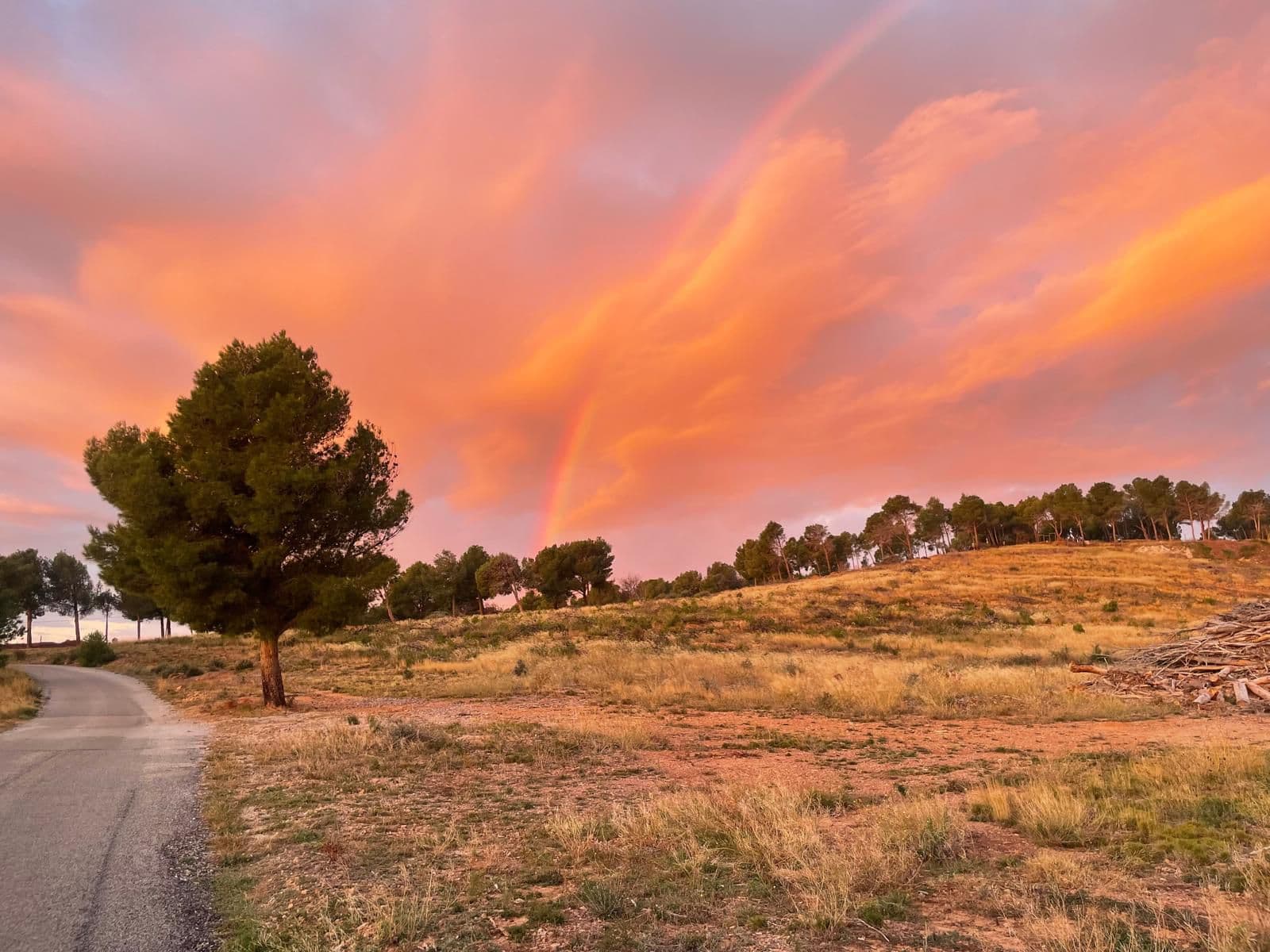 Paysage 1