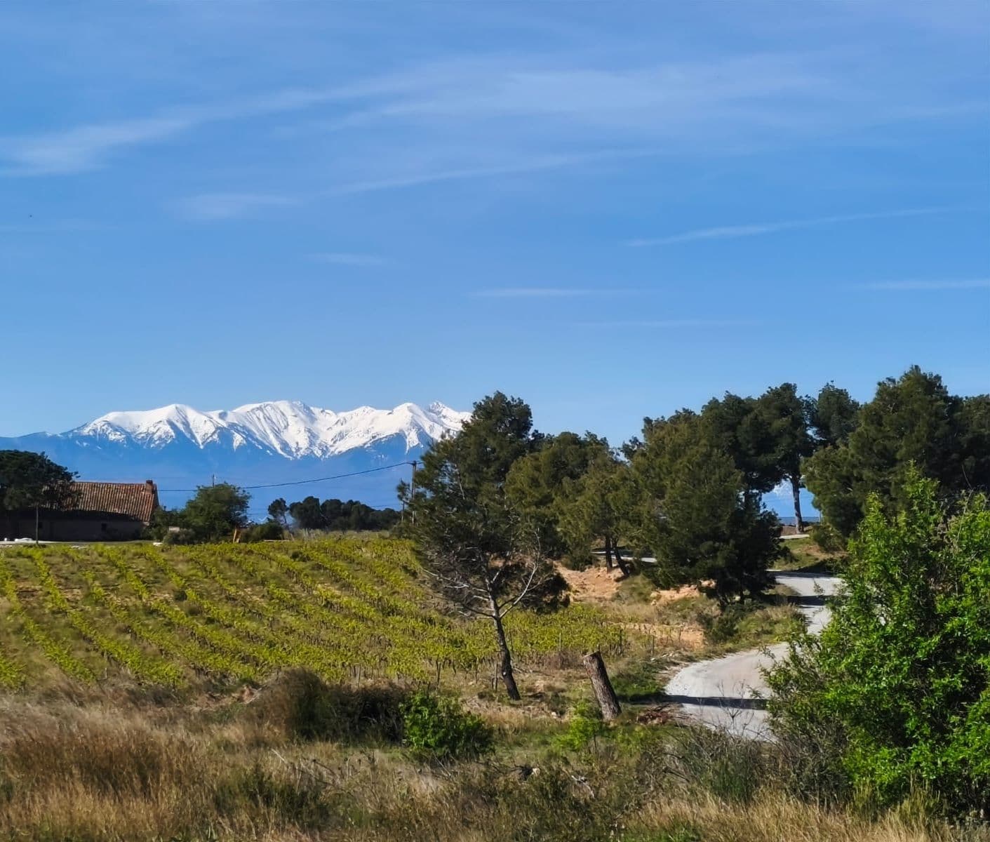 Paysage 2