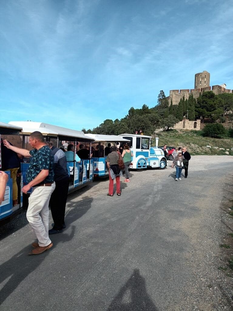 petit-train-collioure
