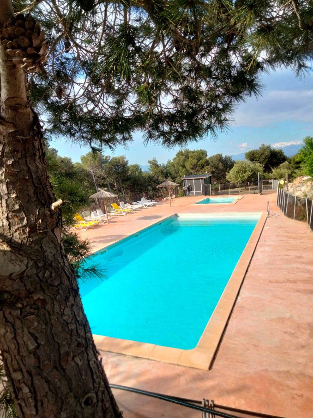 Piscine 3