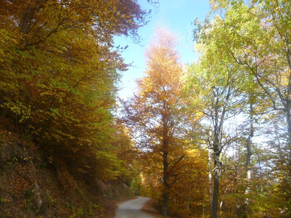 Piste - Mariailles ©A.RABAT