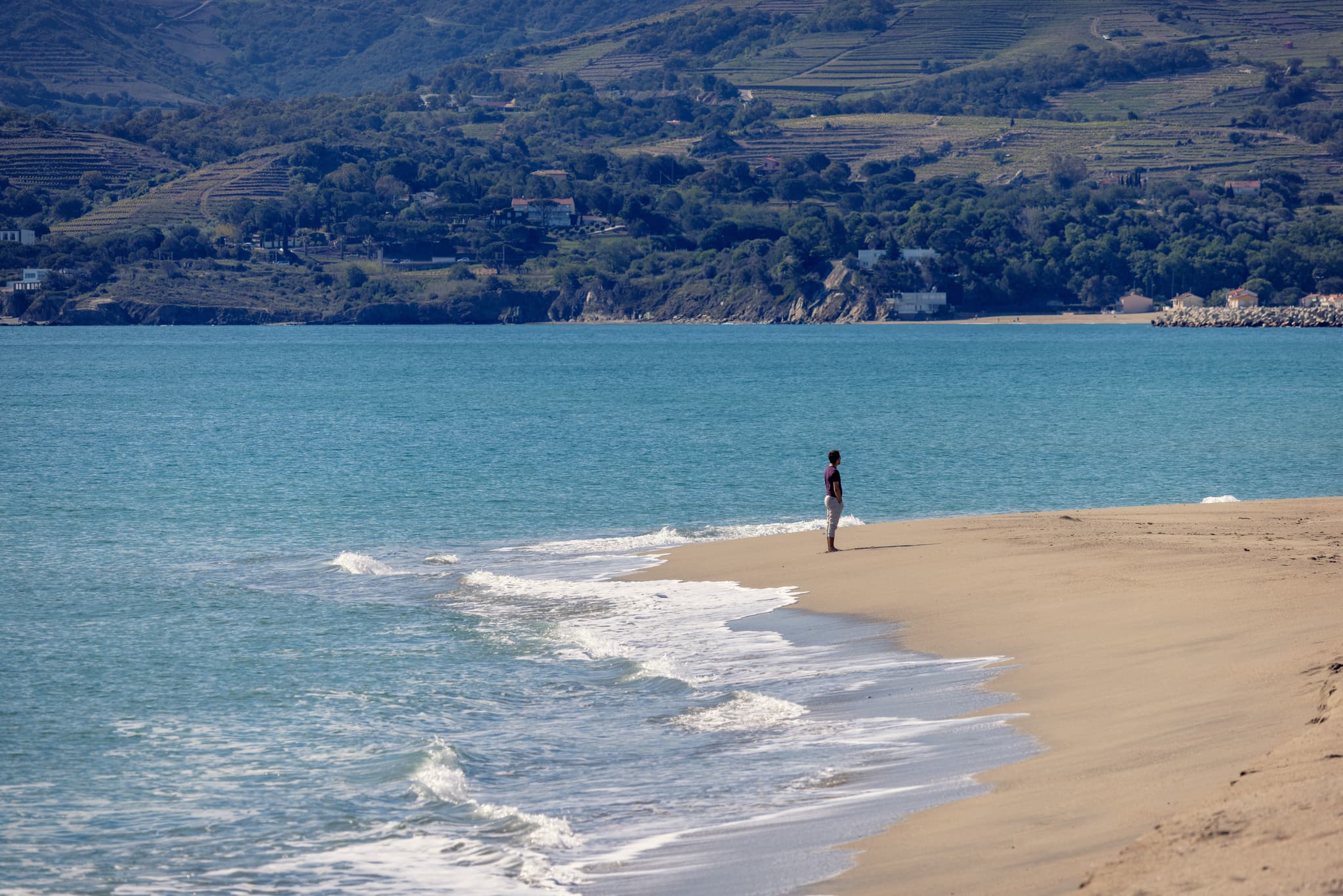 Plage_Nord-ArgelesTourisme-Lionel_Faliu-8168