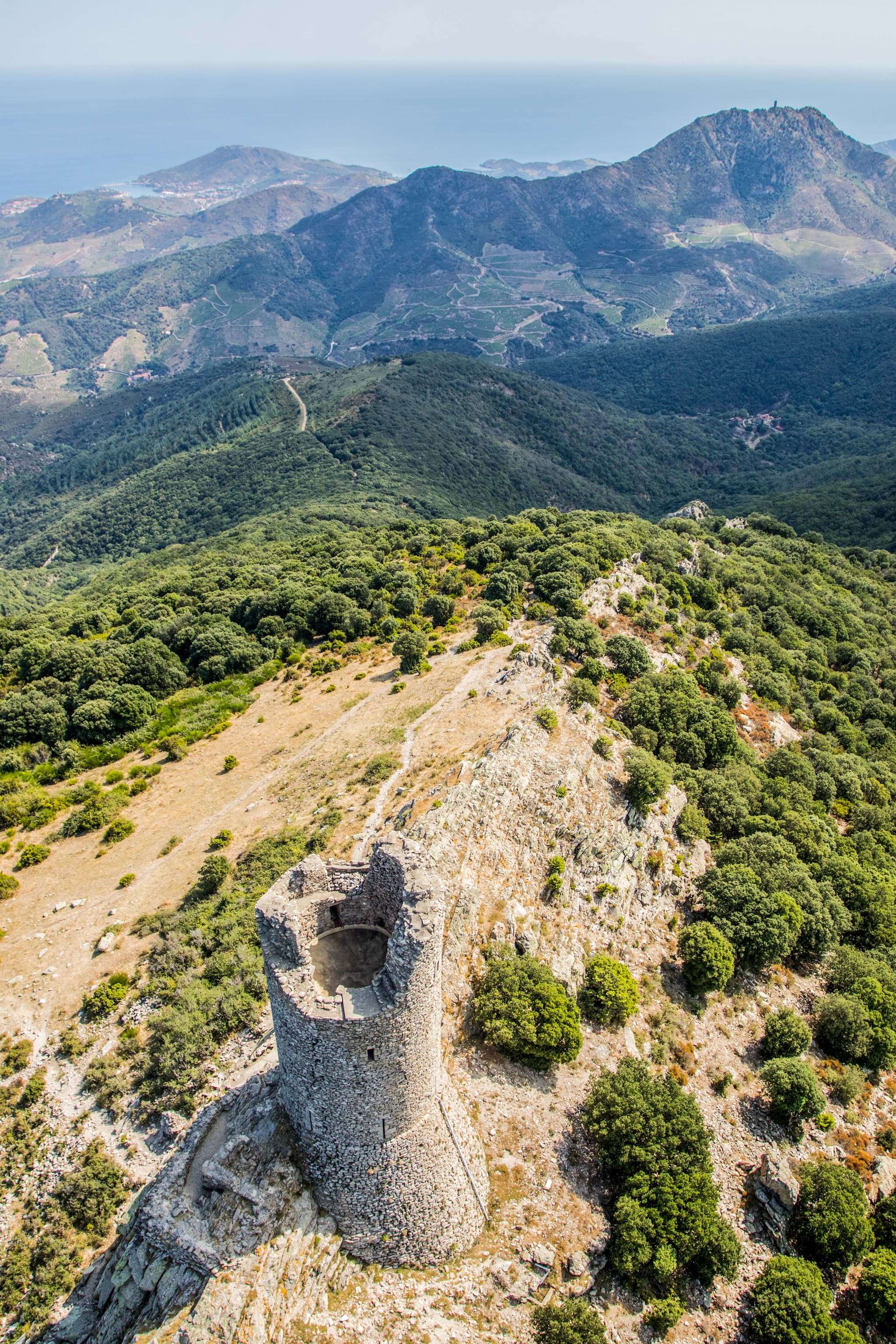 RNN FORET DE LA MASSANE 4