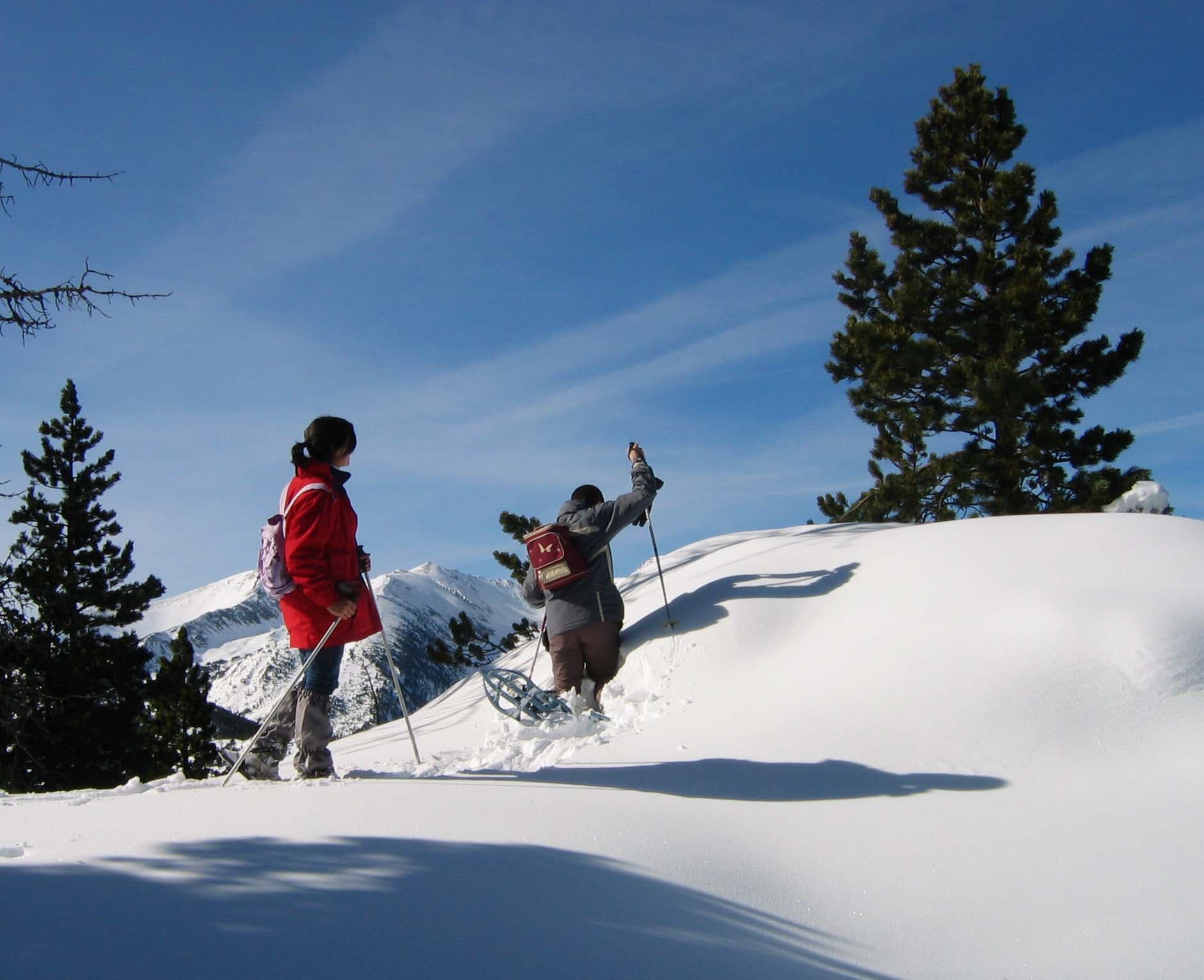 Raquettes à neige à Mantet
