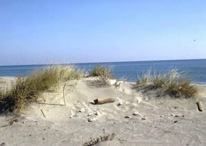 Reserve Naturelle Mas Larrieu