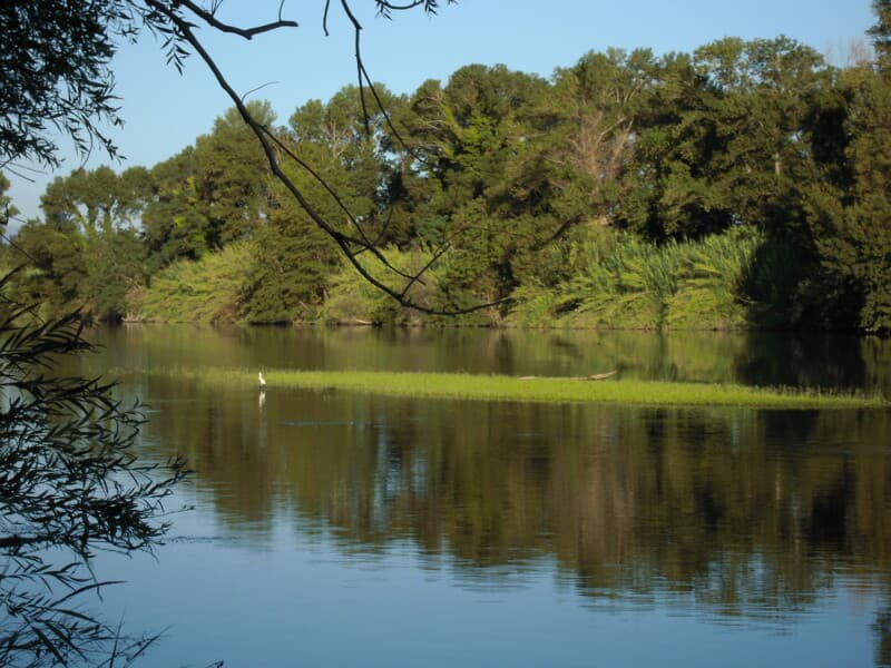 Mas Larrieu