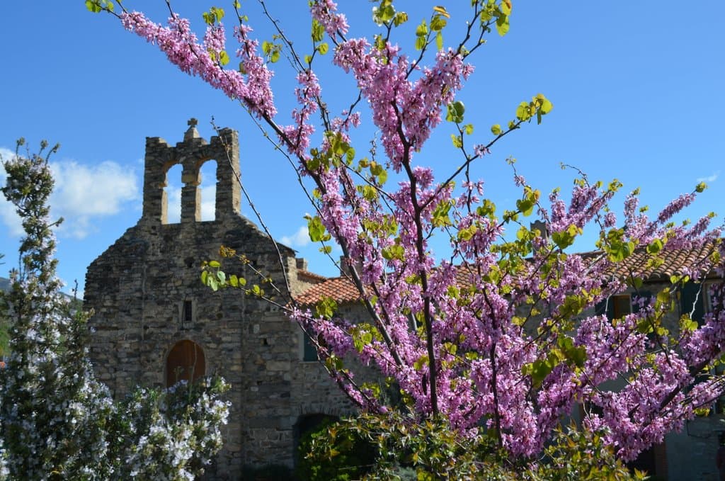 Riquer_(2)