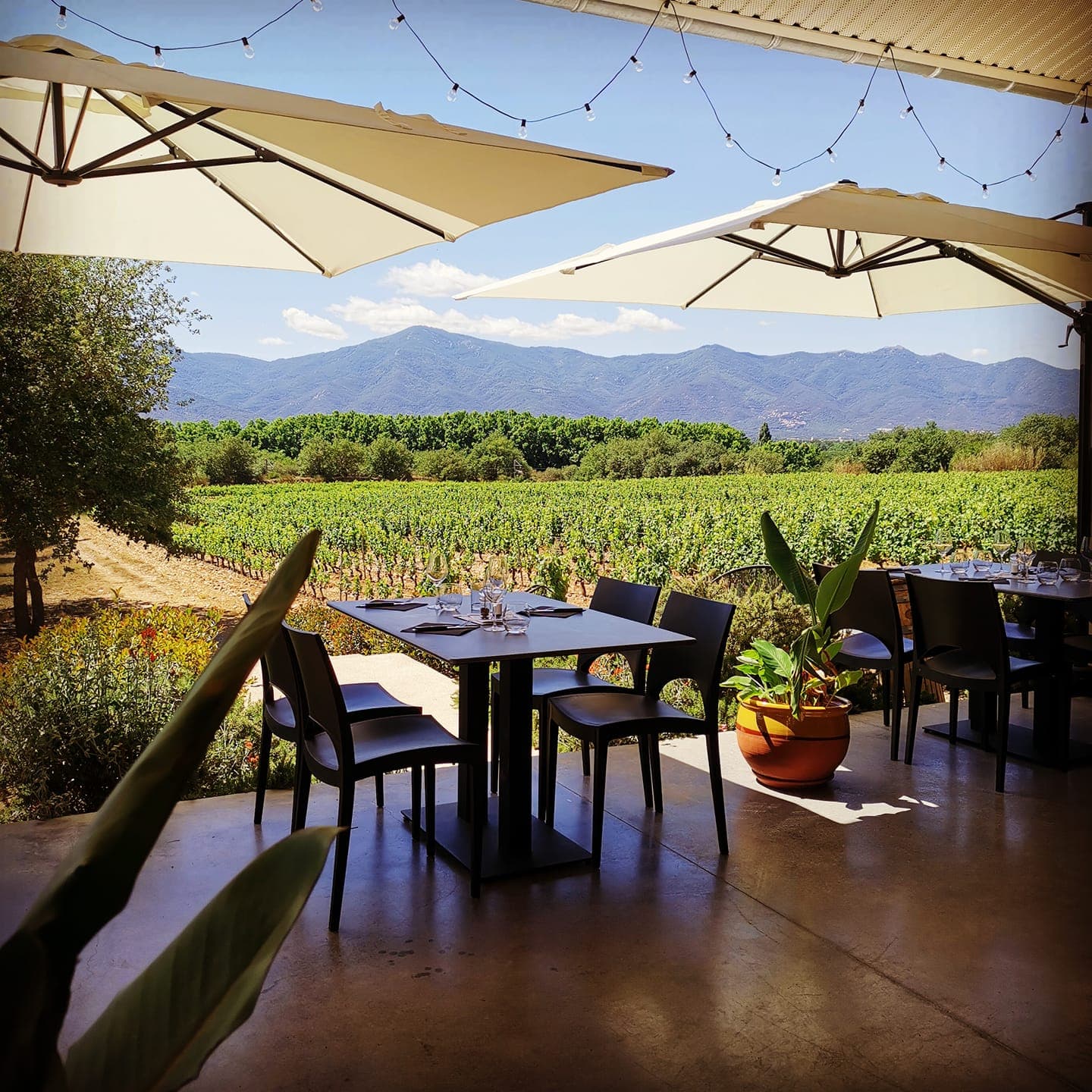 SOL PAYRE RESTAURANT