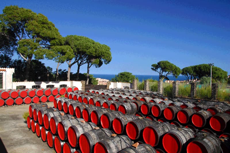 Terre des Templiers 5
