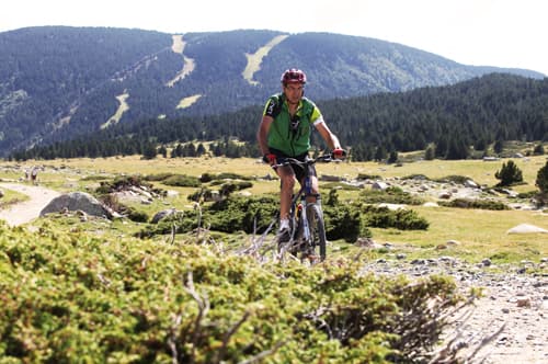 VTT