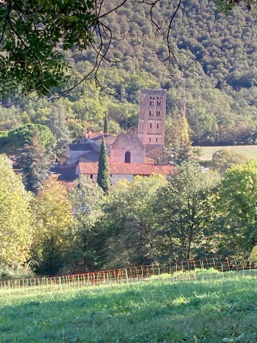 abbaye saint michel de cuixa