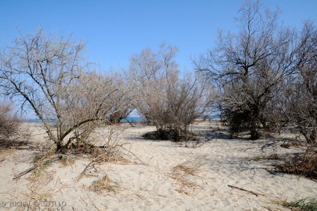 argeles_reserve_mas_larrieu_3