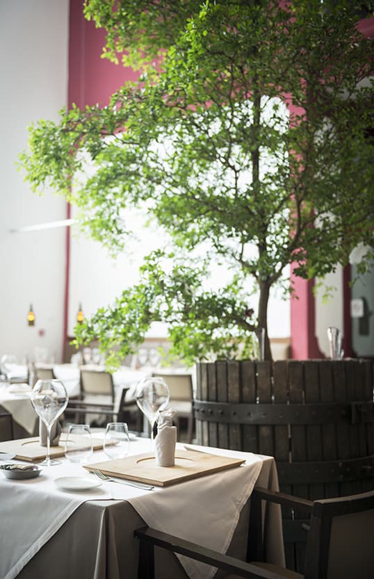belesta restaurant la cooperative