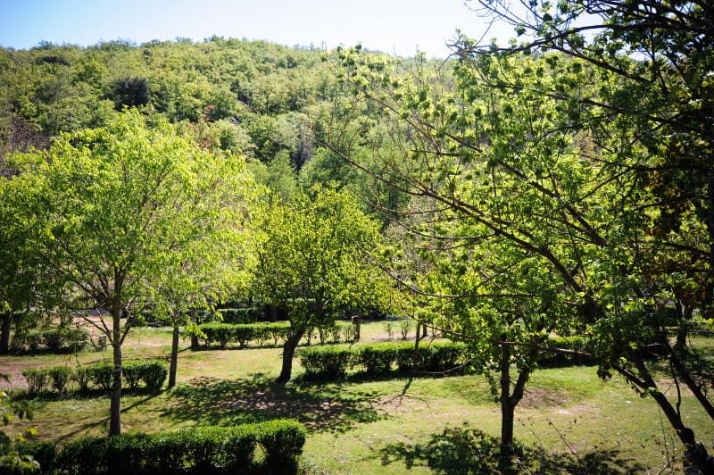 Camping le Canigou