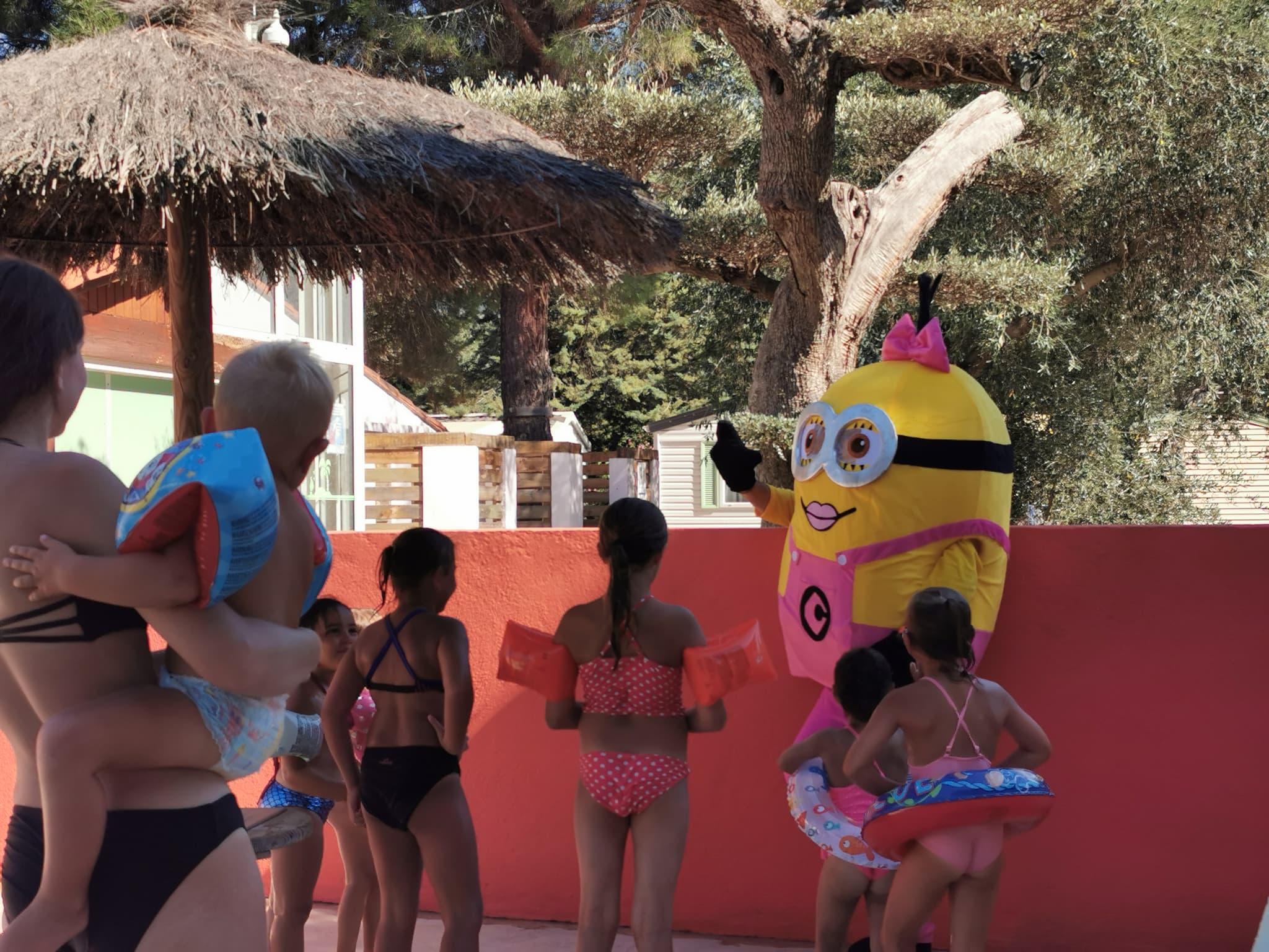 CAMPING LES OLIVIERS 2